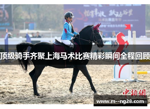 顶级骑手齐聚上海马术比赛精彩瞬间全程回顾