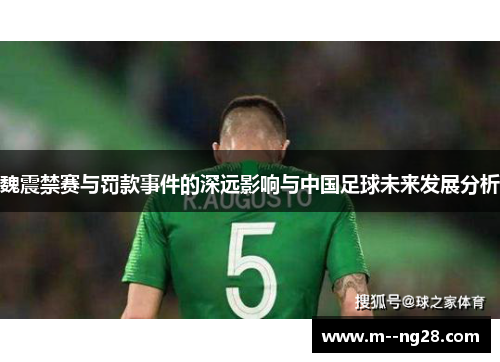 魏震禁赛与罚款事件的深远影响与中国足球未来发展分析 魏震禁赛与罚款事件的深远影响与中国足球未来发展分析