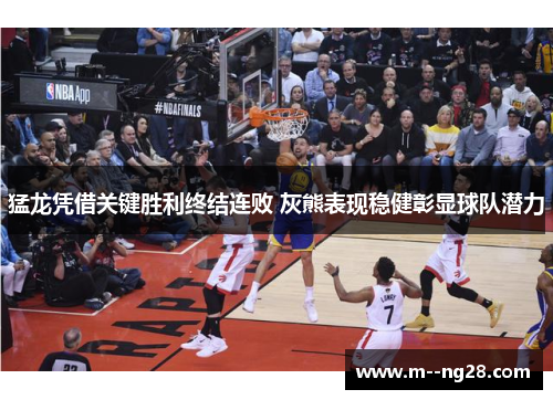 猛龙凭借关键胜利终结连败 灰熊表现稳健彰显球队潜力