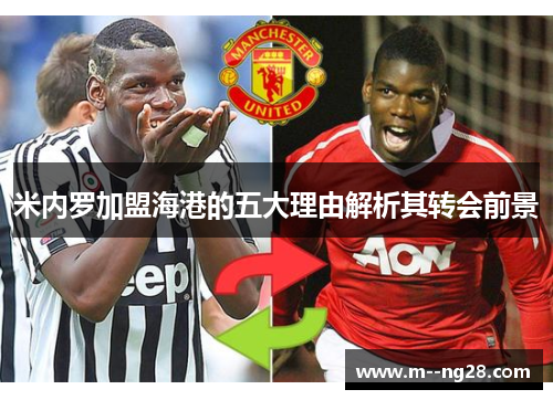 米内罗加盟海港的五大理由解析其转会前景