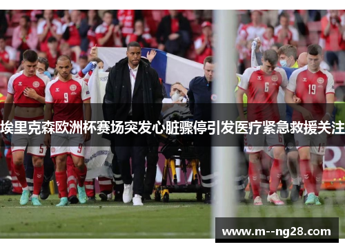 埃里克森欧洲杯赛场突发心脏骤停引发医疗紧急救援关注