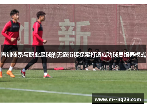 青训体系与职业足球的无缝衔接探索打造成功球员培养模式