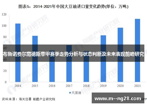 布鲁诺费尔南德斯意甲赛季走势分析与状态判断及未来表现前瞻研究 布鲁诺费尔南德斯意甲赛季走势分析与状态判断及未来表现前瞻研究